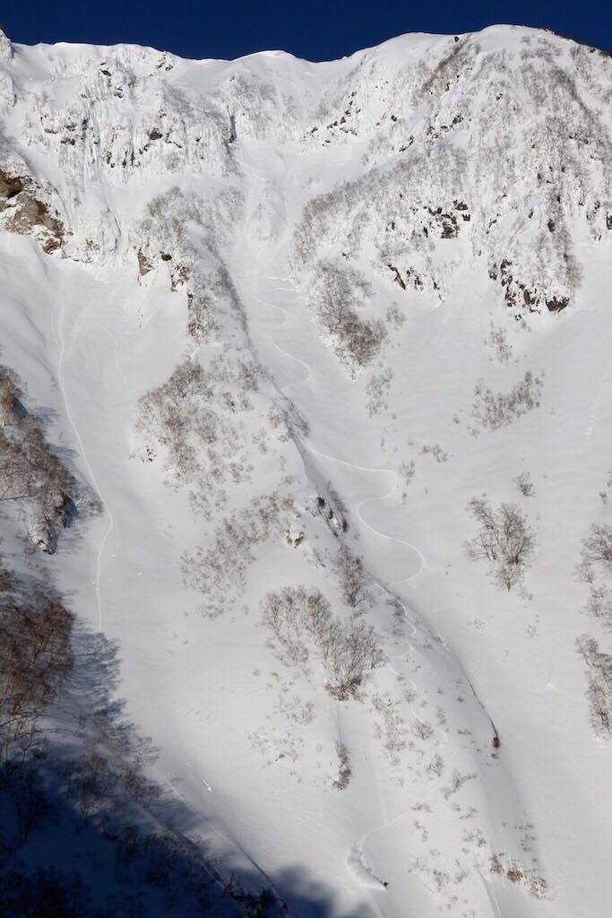 16667897_1428395650513569_1455320103_o(1)